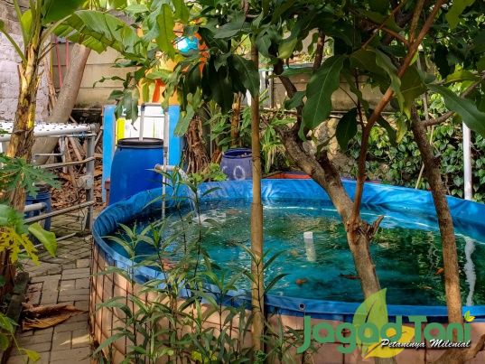 Kelom Lele di Kebun Baraya