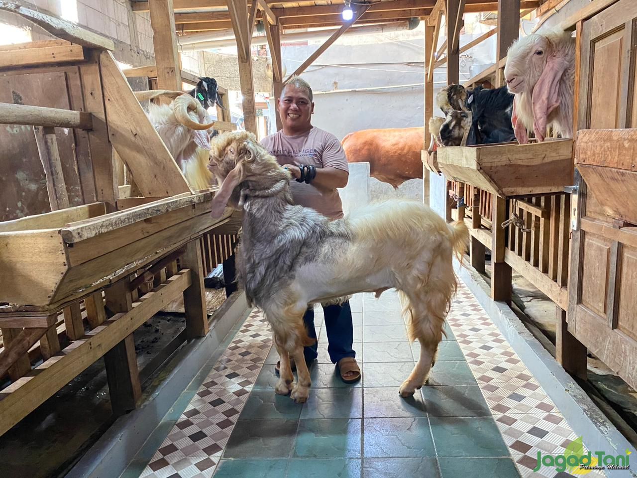 Ayah Bosex pemilik peternakan Zyan Farm 