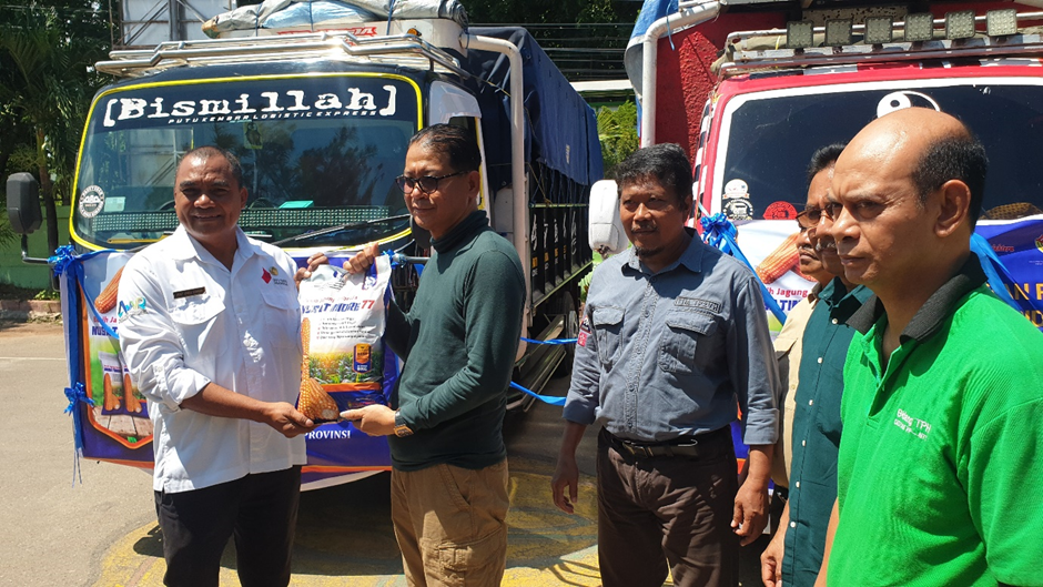 Launching Perdana Benih Jagung Hibrida Nusa Timore 77