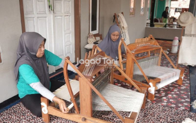 uploads/gallery/2025/02/alfiber-ubah-limbah-daun-75789bdf73e7b42_400.jpg