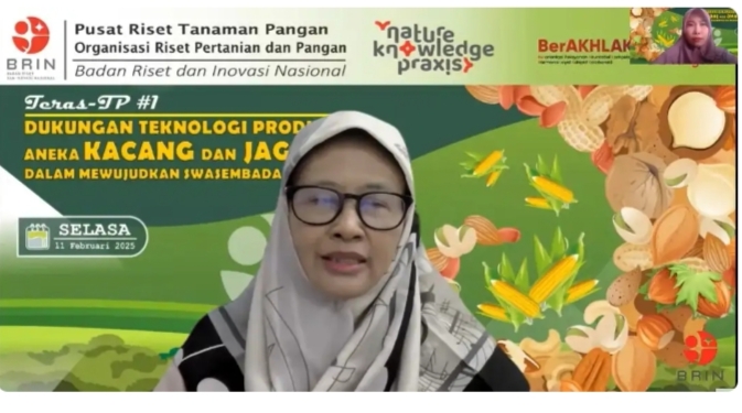 BRIN Kembangkan Teknologi Produksi Aneka Kacang dan Jagung