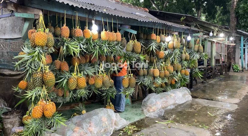 Penjual buah Nanas Simadu di jalan Cagak Subang 