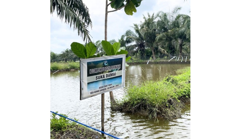 Kelompok Tani Suka Damai menjalankan budidaya ikan nila berkat fasilitas dari BBKSDA Sumatera Utara