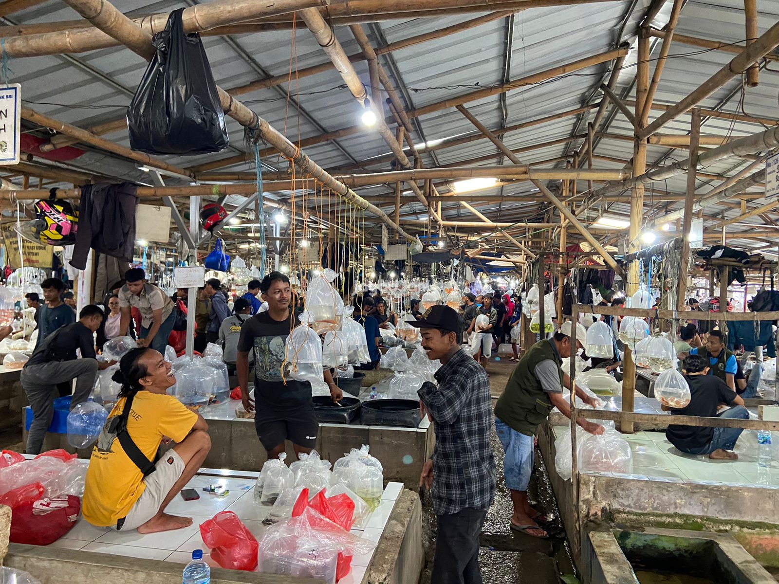 Suasana pasar Ikan hias Parung Bogor 