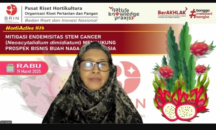 Periset BRIN Kaji Mitigasi Kanker Batang pada Buah Naga