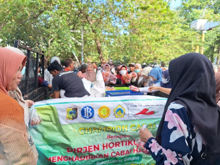 Champion Kementan Gerakkan Aksi Stabilkan Harga Cabai di Lombok