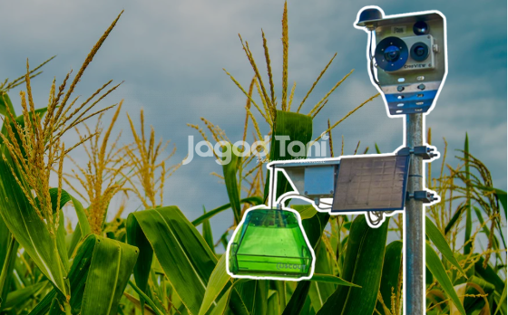 Kagara Agro menjadi solusi bagi petani milenial