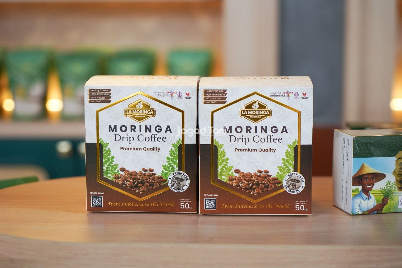 Olahan Moringa menjadi kopi