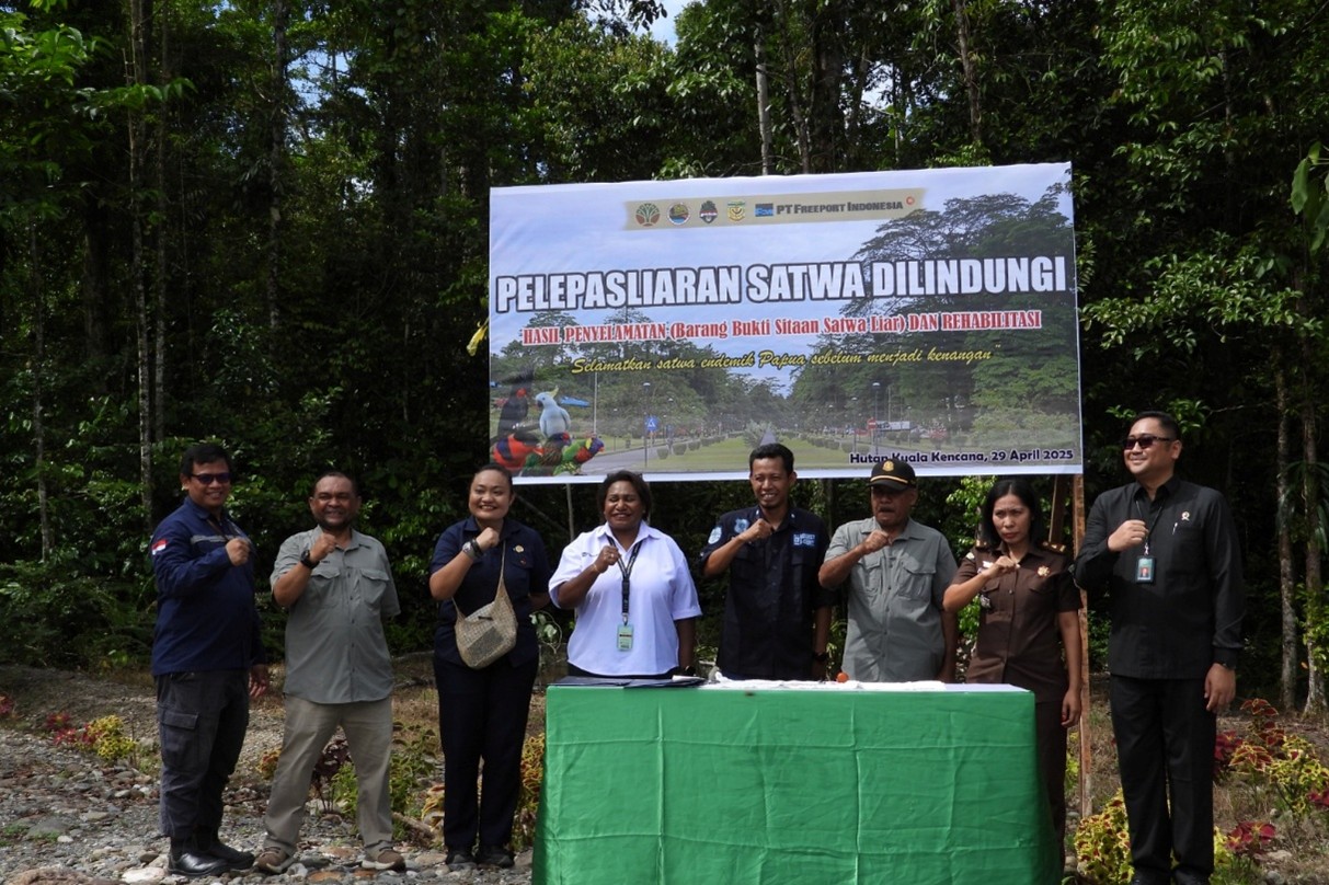 22 burung dilepasliarkan bbksda papua di hutan kuala kencana
