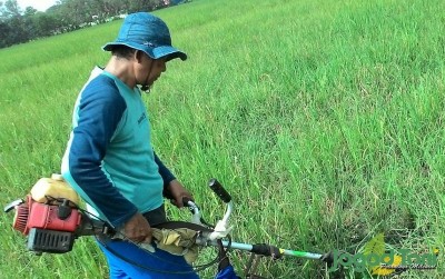 uploads/news/2019/09/inovasi-petani-disaat-sulit-272307e43c4ef6d_400.jpg