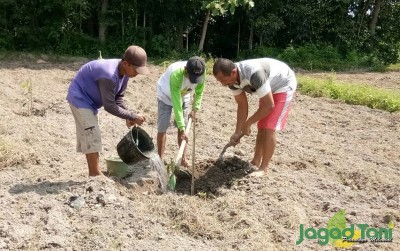 uploads/news/2019/09/prospek-cerah-rajanya-buah-68766eaabdac758_400.jpg