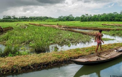 uploads/news/2019/10/bertahan-hidup-dengan-kebun-739005c3d15fadc_400.jpg
