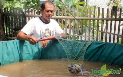 uploads/news/2019/10/budidaya-lele-dengan-manik-1634537e5a767fe_400.jpg