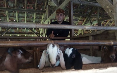 uploads/news/2019/10/cara-mudah-ternak-kambing-5762223c7f0ef5e_400.jpg