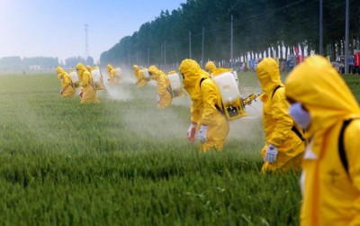 uploads/news/2019/10/cermat-dalam-penggunaan-pupuk-3503755192eb95b_400.jpg