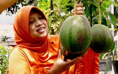 uploads/news/2019/10/hana-alpukat-inovasi-anak-955707c8a49f411_400.jpg