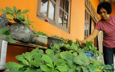 uploads/news/2019/10/hidup-sehat-dengan-daun-97929c2160b8299_400.jpg