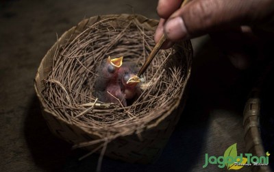 uploads/news/2019/10/hobi-sekaligus-menjaga-ekosistem-925548af341435b_400.jpg