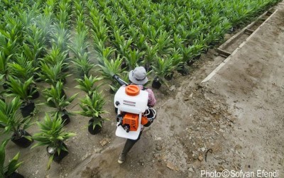 uploads/news/2019/10/ibu-sayur-organik-dari-12221e2386541be_400.jpeg
