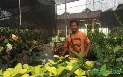 uploads/news/2019/10/kavling-baru-untuk-taman-81279fd609f742a_400.jpeg