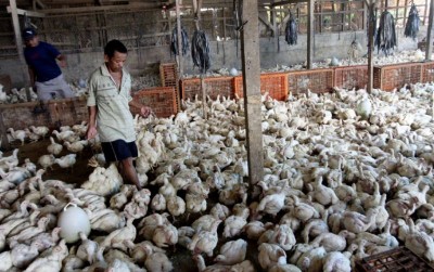 uploads/news/2019/10/kemunculan-aplikasi-pakan-berbasis-75678a056443666_400.jpg