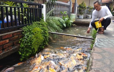 uploads/news/2019/10/keramba-terbuka-solusi-sampah-222721e7ae950aa_400.jpg