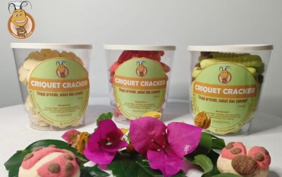 uploads/news/2019/10/manisnya-criquet-food-337926d6d5da76f_400.jpg