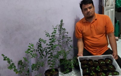 uploads/news/2019/10/mengintip-bisnis-bidara-arab-7159596b8d9a973_400.jpg
