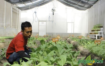uploads/news/2019/10/menyembuhkan-alam-dengan-pertanian-490718dbaa2d206_400.jpg