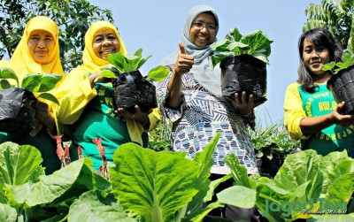 uploads/news/2019/10/menyulap-lahan-bekas-jadi-725074b1e96d87a_400.jpg