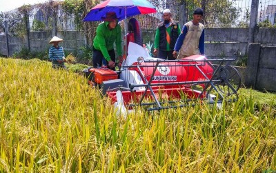 uploads/news/2019/10/mini-combine-harvester-dari-99130f6454508b2_400.jpg