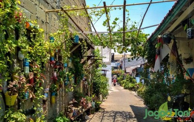 uploads/news/2019/10/paru-paru-mini-kampung-teduh-78939fb659e3b7f_400.jpg