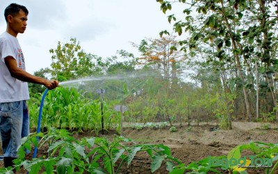 uploads/news/2019/10/refleksikan-diri-menjadi-petani-12224e94ca7b1b1_400.jpg