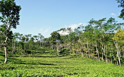 uploads/news/2019/10/rumah-produksi-demi-petani-7094333852d8f4a_400.jpg