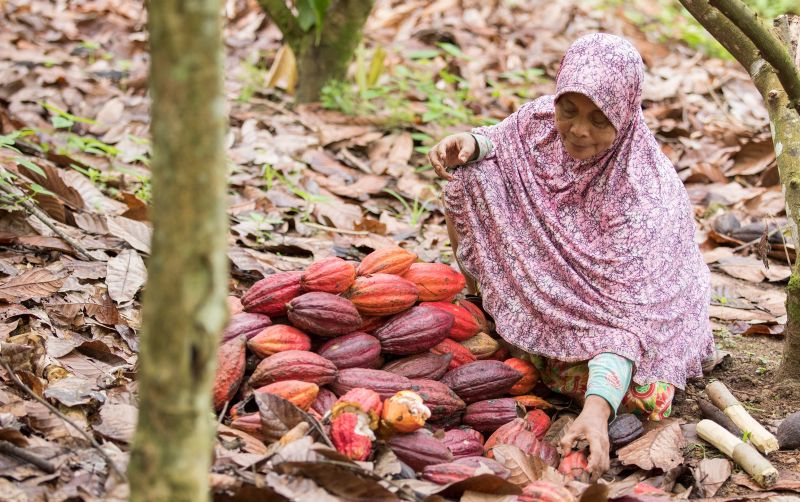 uploads/news/2019/10/sulawesi-utara-tuan-rumah-2183267747b83cb.jpg