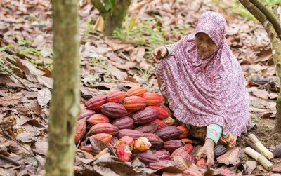 uploads/news/2019/10/sulawesi-utara-tuan-rumah-2183267747b83cb_400.jpg
