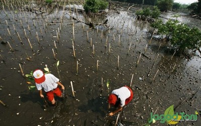 uploads/news/2019/10/target-satu-juta-petani-85489e01fa8c8e8_400.jpg