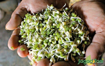 uploads/news/2019/10/tauge-alami-dari-kismoyoso-42746e59620254b_400.jpg