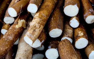 uploads/news/2019/10/tingkatkan-produksi-ubi-kayu-74294a99355039f_400.jpg