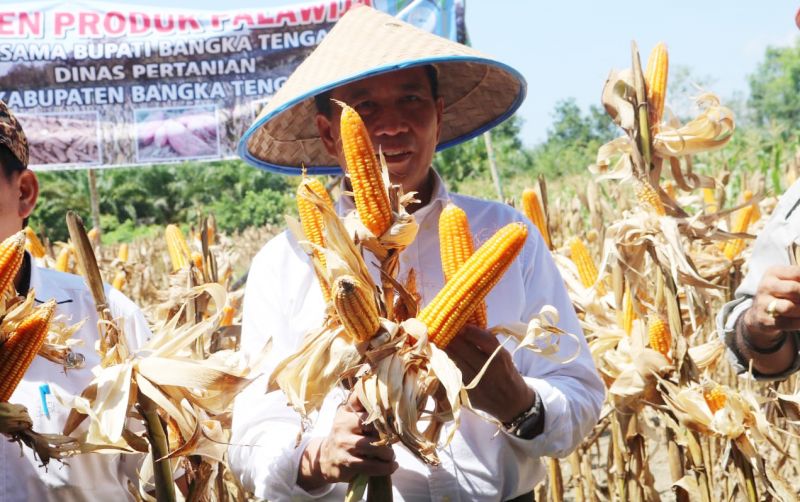uploads/news/2019/11/-jangan-malu-menjadi-petani--492102b0510c528.jpg