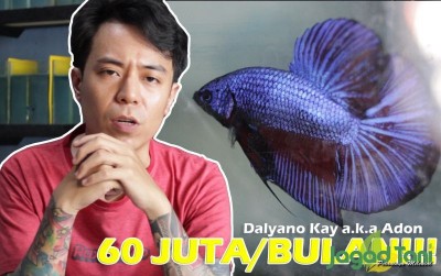uploads/news/2019/11/60-000-000-bulan-dari-hobi-ikan-94880425a832bc4_400.jpg