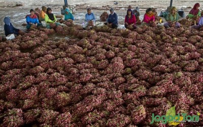uploads/news/2019/11/ambisi-oku-timur-saingi-643748e69448c26_400.jpg