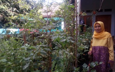 uploads/news/2019/11/ayo-bertani-di-pekarangan-254296a2353cadf_400.jpg