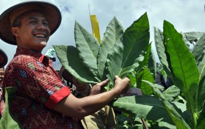 uploads/news/2019/11/bank-untuk-para-petani-88943b37ff42edd_400.jpg