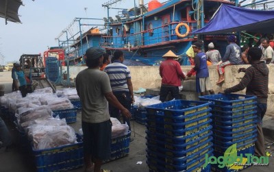 uploads/news/2019/11/berburu-ikan-di-ujung-37739a796b4d404_400.jpg