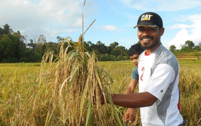 uploads/news/2019/11/ipb-regenerasi-petani-muda-7180600def4feb9_400.jpg