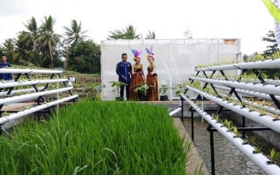uploads/news/2019/11/jogja-youth-farming-pikat-406295124fb5a6d_400.jpg