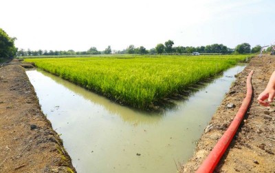 uploads/news/2019/11/kalsel-buka-lahan-pertanian-851599d7460b489_400.jpg