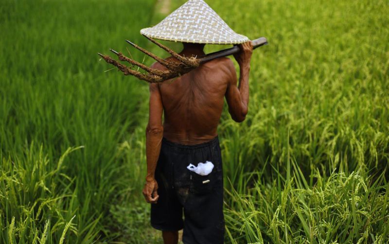 uploads/news/2019/11/mentan-akan-permudah-kur-35564b9fb9d37bd.jpg