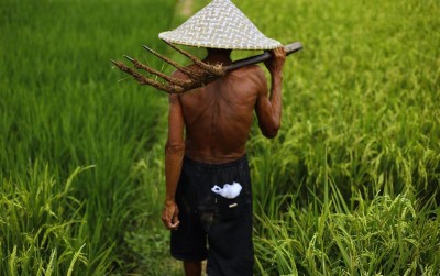 uploads/news/2019/11/mentan-akan-permudah-kur-35564b9fb9d37bd_400.jpg